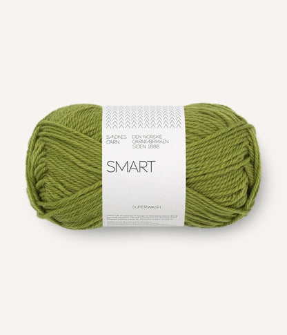 Sandnes Garn Smart Farbe 9564