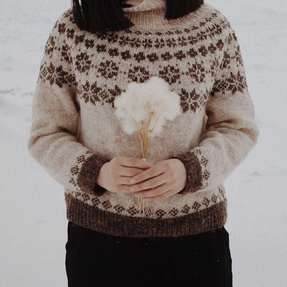 Saskie und Co Hytte Sweater mit Plötulopi von Lopi Island 4