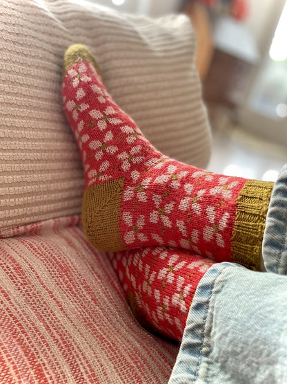 Whoops a Daisy Socks | traumschöne Gänseblümchen aus Jawoll von Lang