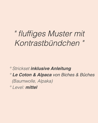 Sweater No. 77 | zauberhaftes Muster aus Le Coton & Alpaca von Biches & Bûches