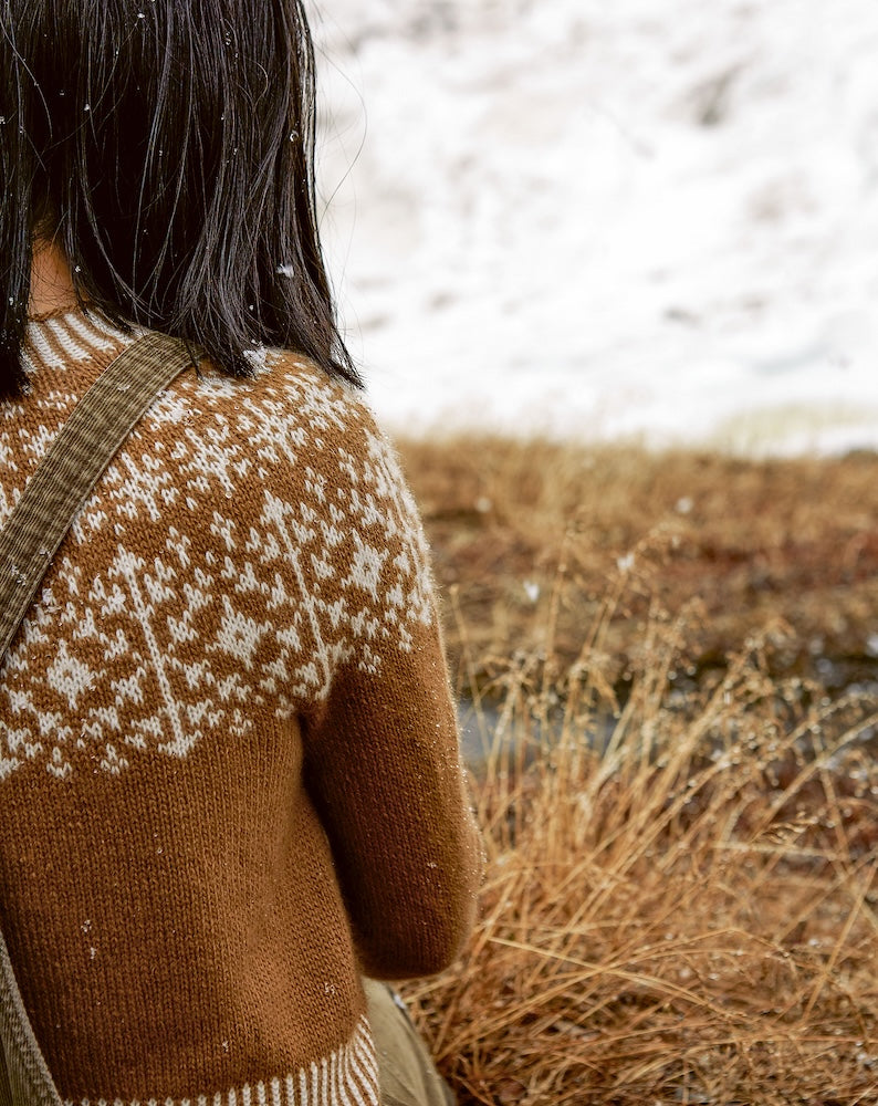 The Petite Knitter Glacial Jumper aus Arctic Knits mit Bio Cashmere 6/28 von Pascuali 2