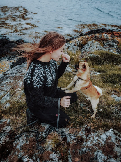 First Light Sweater | wie Sonnenstrahlen am Morgen aus Lettlopi von Lopi Island
