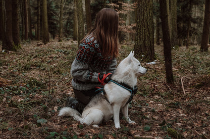 Forest Guard Sweater | high-contrast Norwegian pattern in Alafosslopi by Lopi Island
