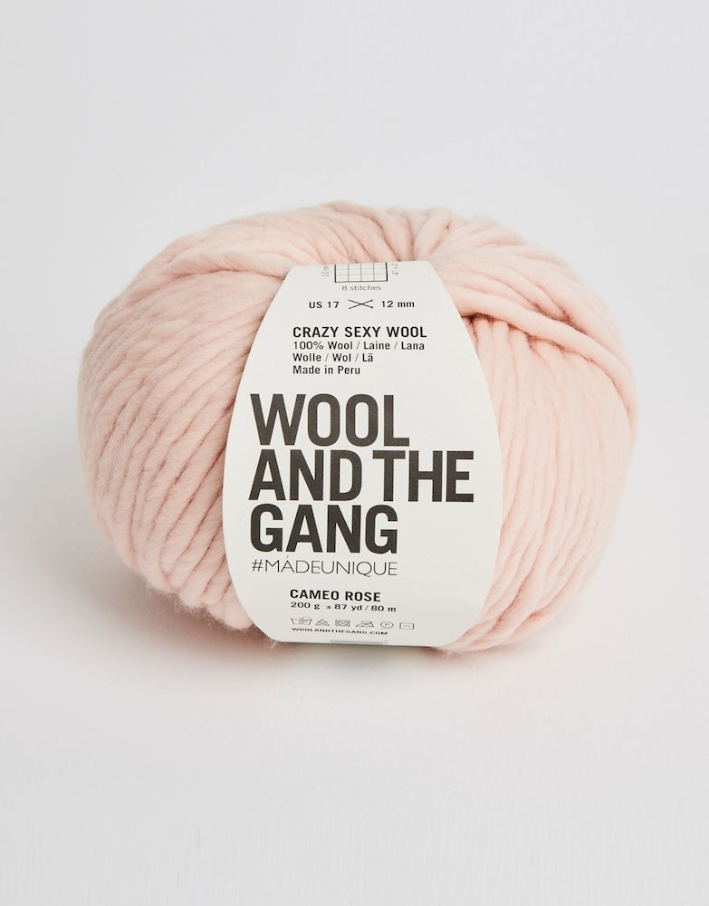 Crazy Sexy Wool von Wool and the Gang Farbe cameo rose