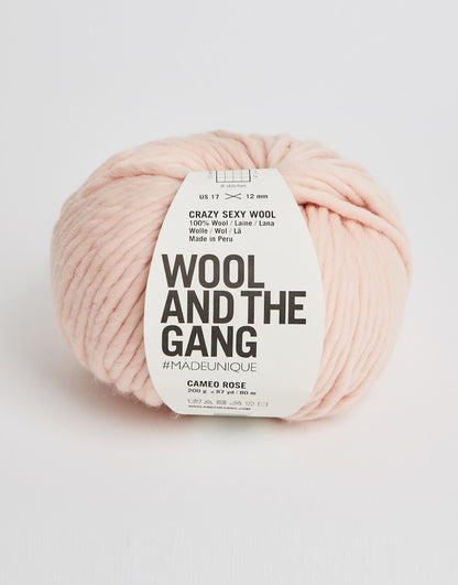 Crazy Sexy Wool von Wool and the Gang Farbe cameo rose