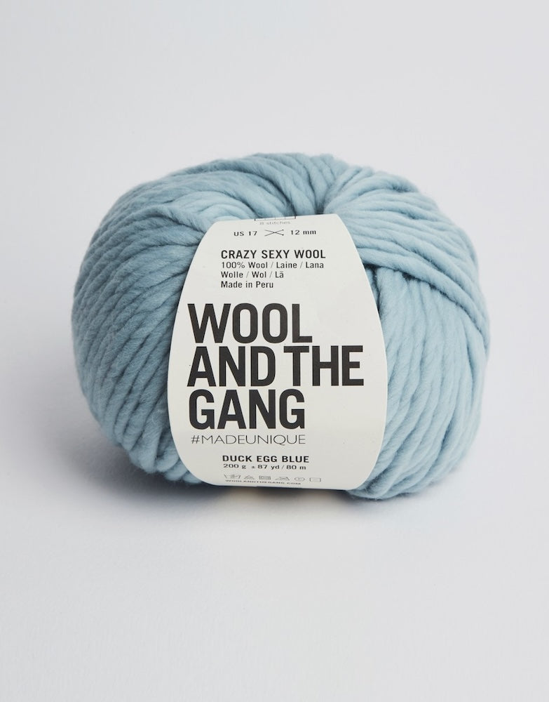 Crazy Sexy Wool von Wool and the Gang Farbe duck egg blue