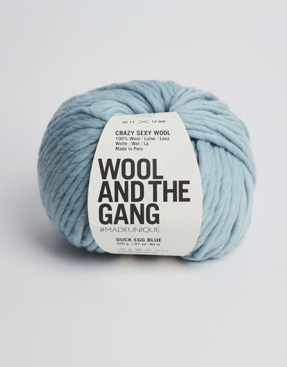 Crazy Sexy Wool von Wool and the Gang Farbe duck egg blue