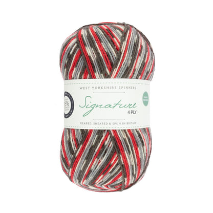 Signature 4-ply Country Birds | Sockengarn in den Farben heimischer Singvögel