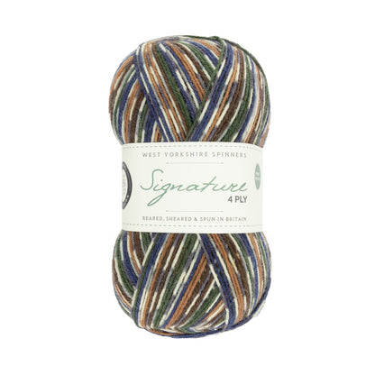 Signature 4-ply Country Birds | Sockengarn in den Farben heimischer Singvögel