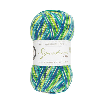 Signature 4-ply Country Birds | Sockengarn in den Farben heimischer Singvögel