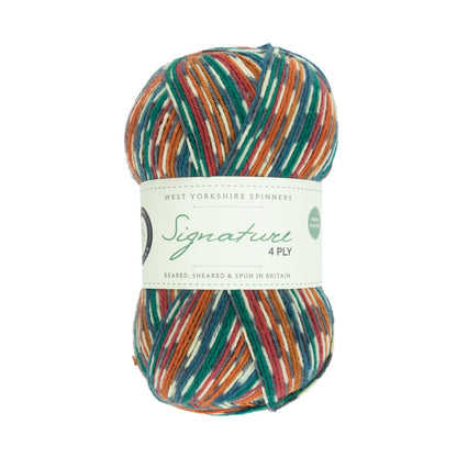Signature 4-ply Country Birds | Sockengarn in den Farben heimischer Singvögel