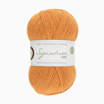Signature 4-ply | fantastische Sockenwolle in strahlenden Farben