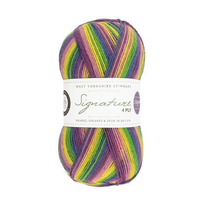 Signature 4-ply Winwick Mum | selbststreifendes Sockengarn