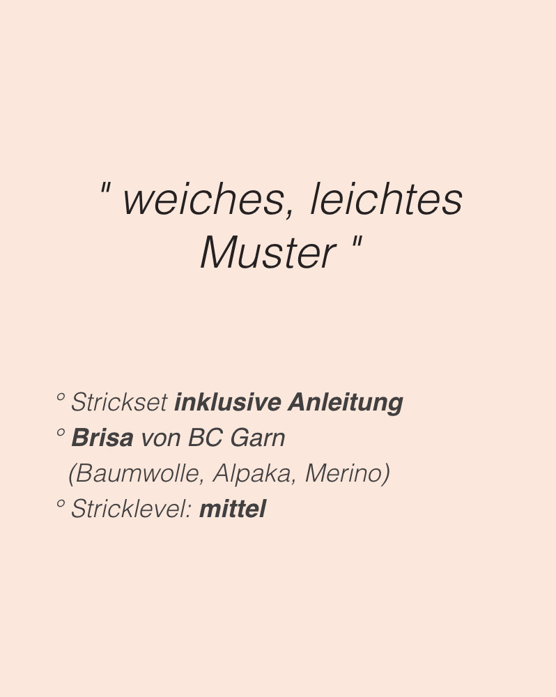 Caidree Yutori Sweater V-Neck mit Brisa von BC Garn 2