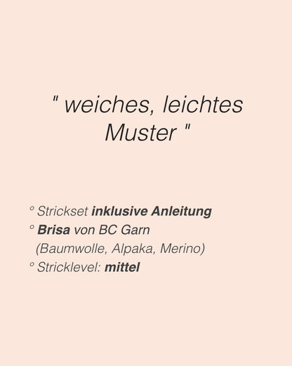 Caidree Yutori Sweater V-Neck mit Brisa von BC Garn 2