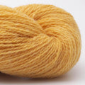 BC Garn Bio Shetland Farbe 49