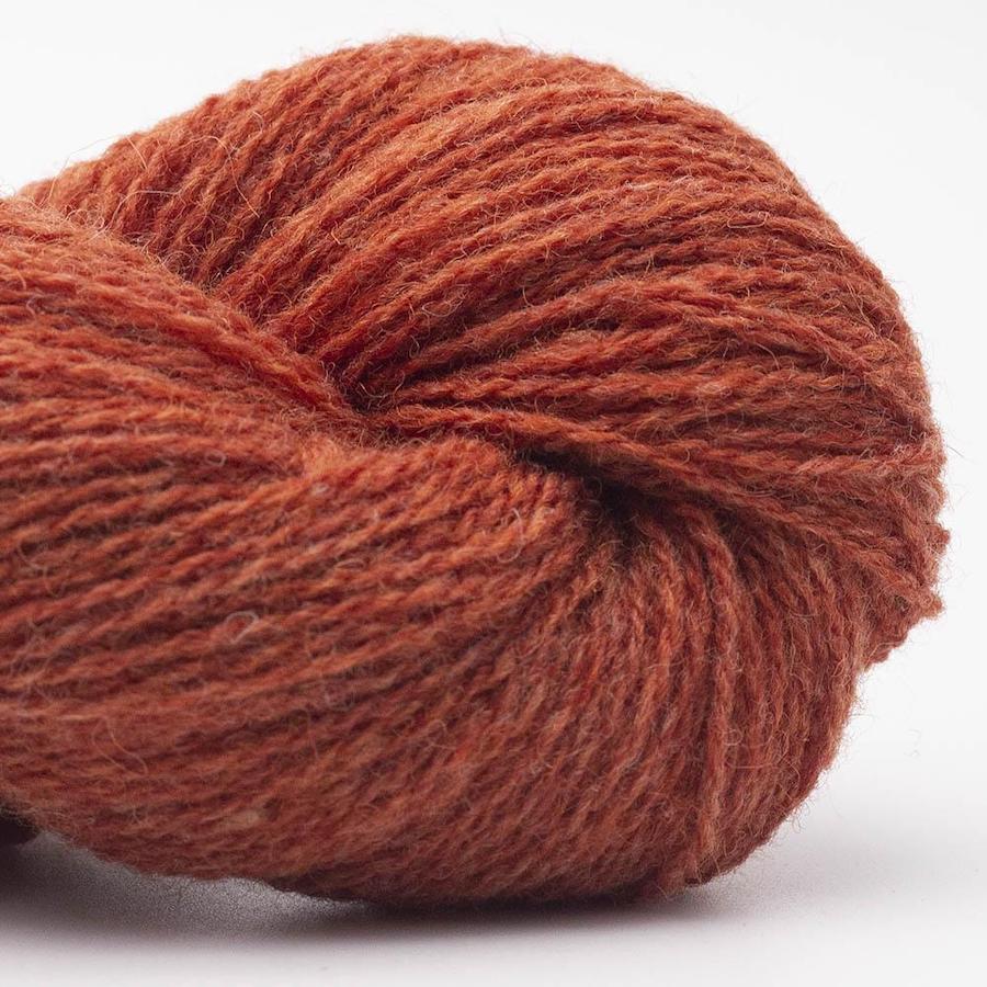 BC Garn Bio Shetland Farbe 52