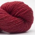BC Garn Bio Shetland Farbe 65