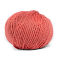 Pascuali Maximo Farbe 407