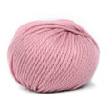 Pascuali Maximo Farbe 410