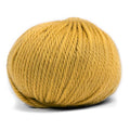 Pascuali Maximo Farbe 421