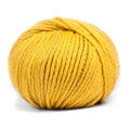 Pascuali Maximo Farbe 423
