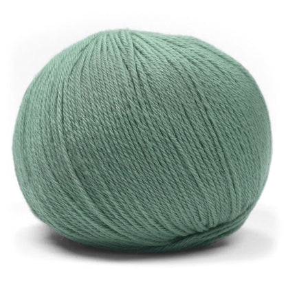 Pascuali Merino Baby Farbe 319