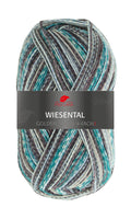 Pro Lana Golden Socks Wiesental Farbe 596