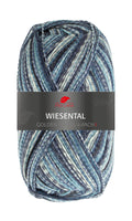 Pro Lana Golden Socks Wiesental Farbe 597