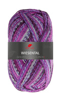 Pro Lana Golden Socks Wiesental Farbe 598