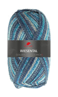 Pro Lana Golden Socks Wiesental Farbe 600