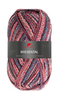 Pro Lana Golden Socks Wiesental Farbe 601
