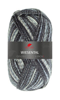 Pro Lana Golden Socks Wiesental Farbe 602