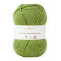 Rowan Pure Wool Worsted Knäuel in Farbe 125