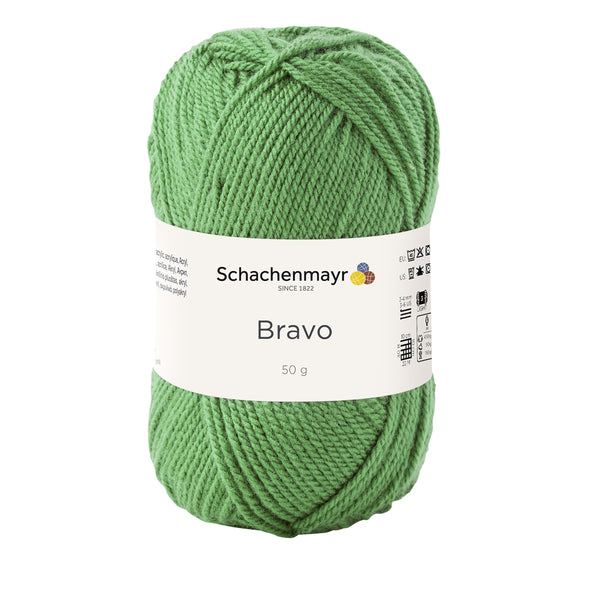 Schachenmayr Bravo, Farbe 8191