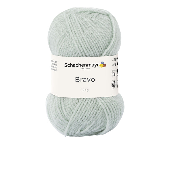 Schachenmayr Bravo, Farbe 8359