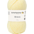 Schachenmayr Bravo, Farbe 8361