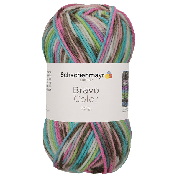 Schachenmayr, Bravo Color, Farbe 2083
