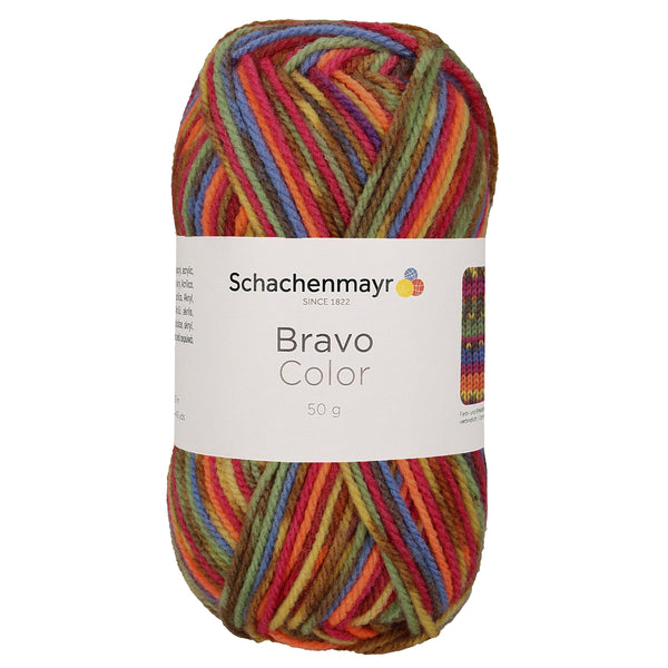 Schachenmayr, Bravo Color, Farbe 2085